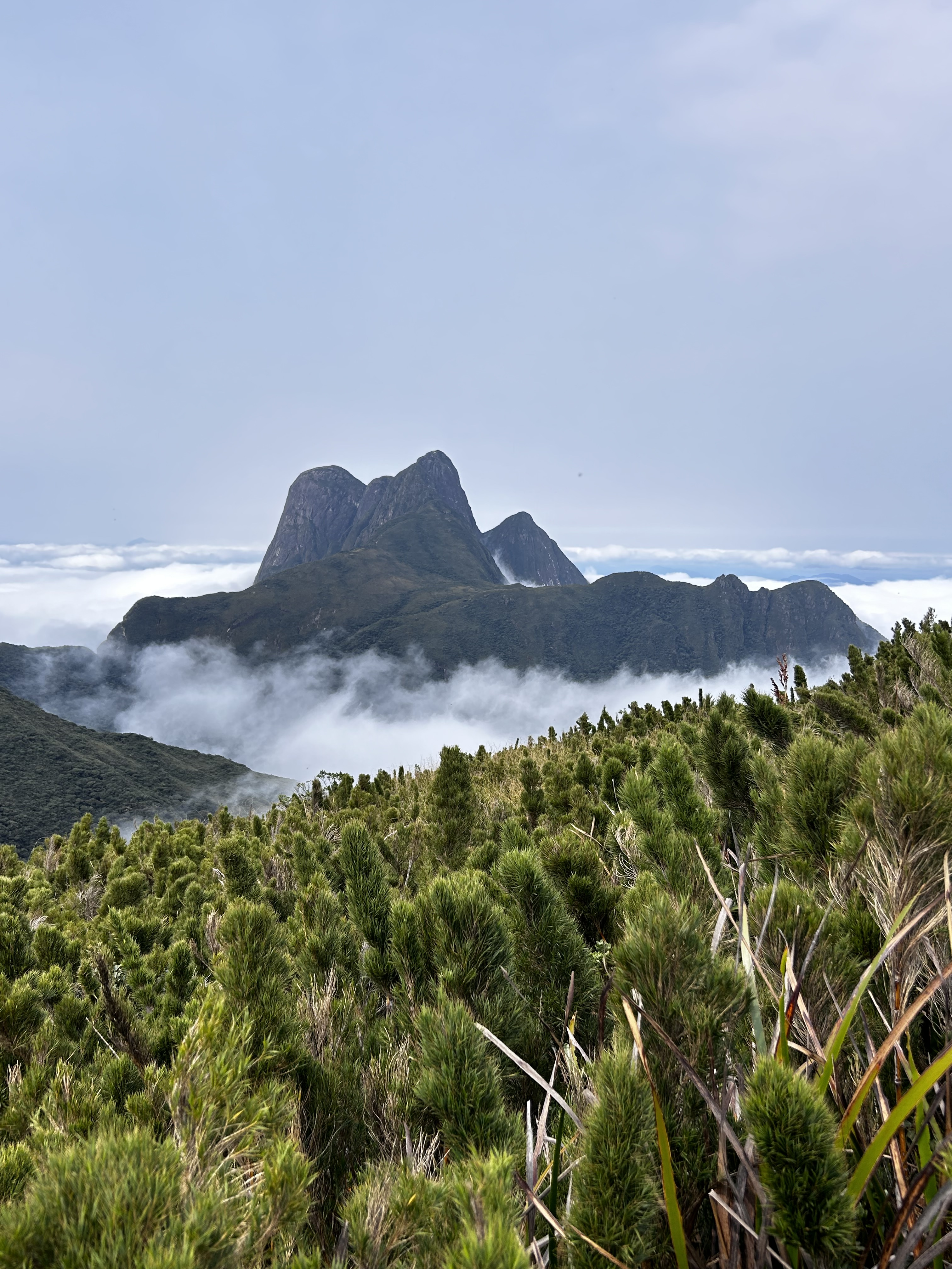 Pico Paraná