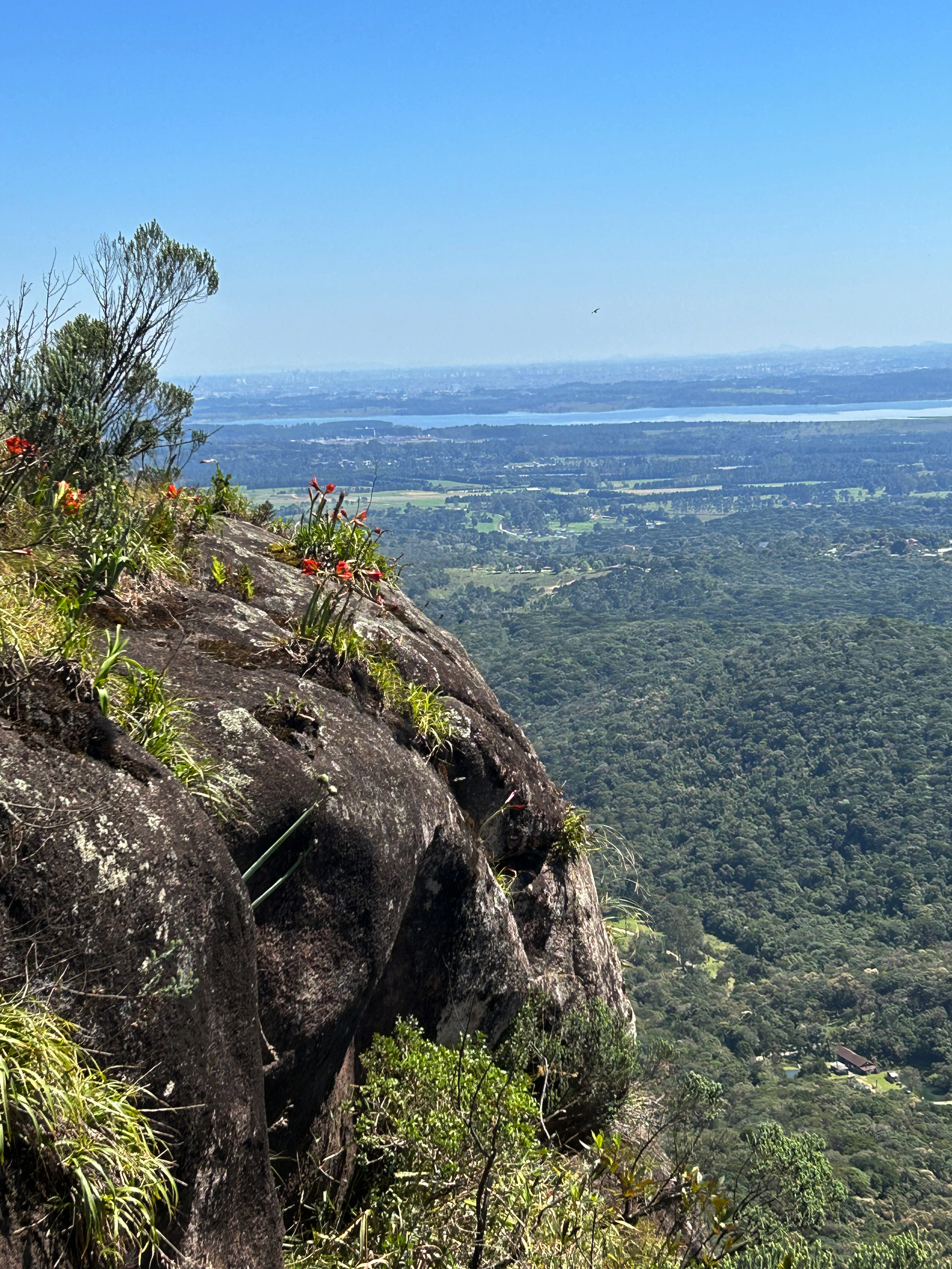 Pão de Loth