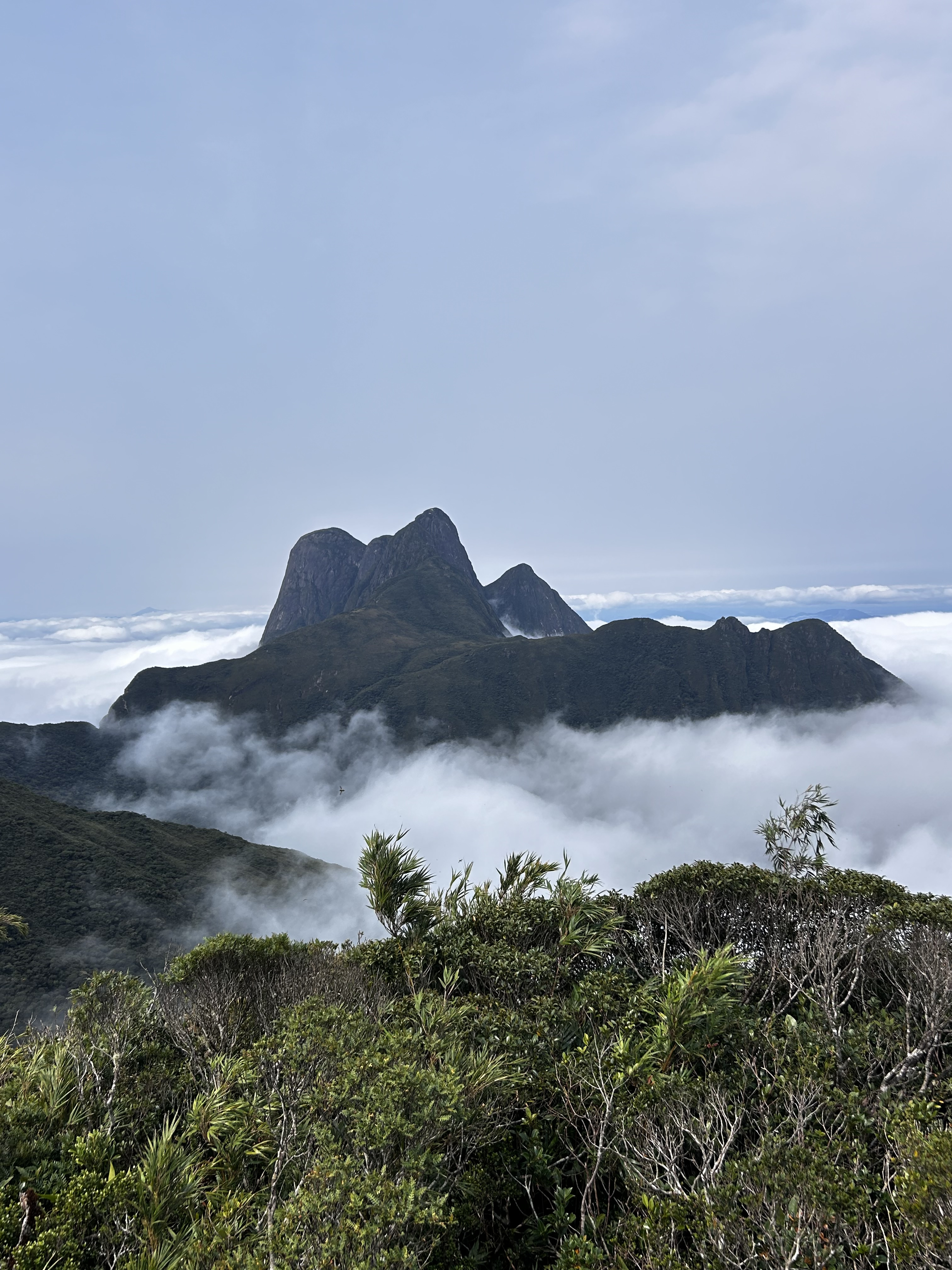 PE Pico Paraná