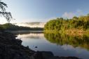 Dia da Água: IAT vai plantar 18 mil mudas de espécies nativas em nascentes de rios do Paraná