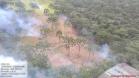 Estado aplica R$ 3,6 milhões em multas por desmatamento de 462 hectares nos Campos Gerais
