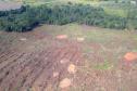 Estado aplica R$ 3,6 milhões em multas por desmatamento de 462 hectares nos Campos Gerais
