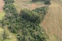 Operação do IAT identifica 17 hectares de desmatamento ilegal na região Oeste