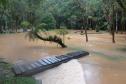 Enchente no Parque Estadual de Campinhos