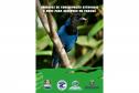 Capa do e-book "Unidades de conservação estaduais e aves para observar no Paraná " com um pássaro nativo do Paraná