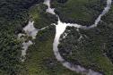 Desmatamento ilegal da Mata Atlântica reduz 64% no Paraná em 2023