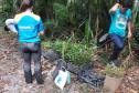 Foto de voluntários plantando mudas