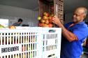 Foto de funcionário abastecendo banco de alimentos