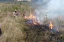 IAP promove queima controlada no Parque Estadual de Vila Velha
