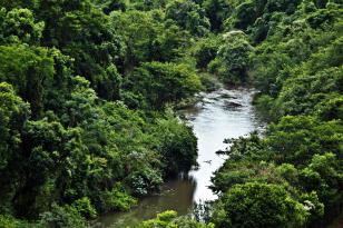 IAT conversa com comunidade sobre a utilização de recursos hídricos dos rios São Camilo e Jesuítas