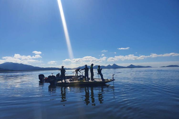 proteção de peixes nativos