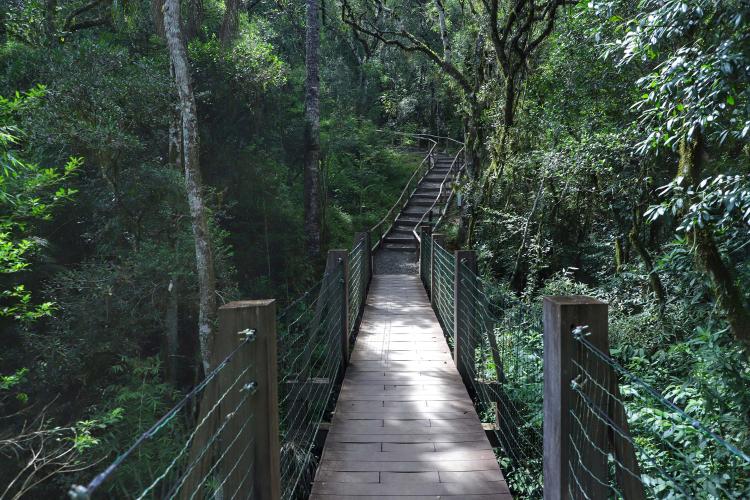 Evento Paraná Aventura