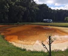 Instituto Água e Terra monitora danos ambientais causado por vazamento de gasolina em São José dos Pinhais