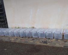 153 cobras peçonhentas são recolhidas de residência em Mandaguari