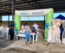 CastraPet abre agenda de março e deve esterilizar 1.195 cães e gatos na primeira quinzena