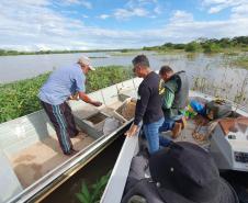 Operação do IAT no Rio Paraná busca combater a prática da pesca ilegal. Foram recolhidos materiais proibidos e aplicadas multas