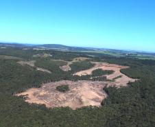 Imagem aérea desmatamento 