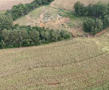 Operação do IAT identifica 17 hectares de desmatamento ilegal na região Oeste