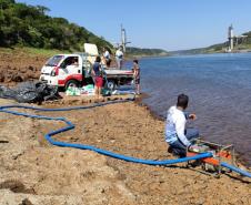 Programa Rio Vivo:Governo do Estado planeja repovoar os rios que cortam o Paraná com 10 milhões de peixes nativos até 2026