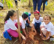 Grupo de quatro crianças plantando mudas