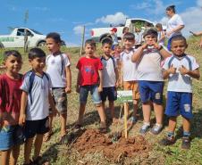Grupo de oito crianças próximas a muda plantada