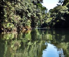 Rio rodeado de vegetação nativa paranaense
