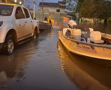 Apoio logístico e resgate de animais: IAT ajuda vítimas da enchente em União da Vitória