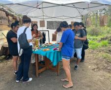 Foto de visitantes olhando produtos indígenas