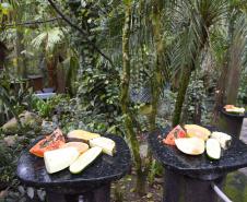 FRUTAS FRENTE A VEGETAÇÃO