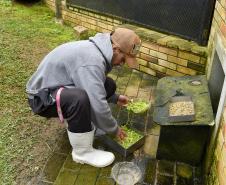 FUNCIONÁRIO EM AÇÃO