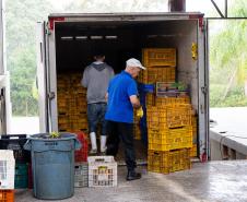 FUNCIONÁRIOS EM AÇÃO