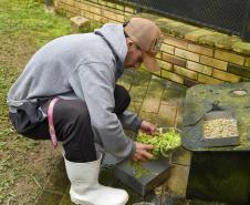 FUNCIONÁRIO EM AÇÃO