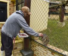 FUNCIONÁRIO EM AÇÃO