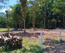 Instituto Água e Terra alerta para golpe do licenciamento ambiental no Litoral do Paraná