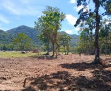 Instituto Água e Terra alerta para golpe do licenciamento ambiental no Litoral do Paraná