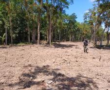 Instituto Água e Terra alerta para golpe do licenciamento ambiental no Litoral do Paraná