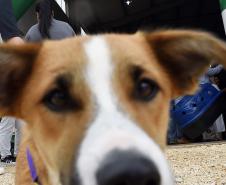 Foto de evento do Castrapet