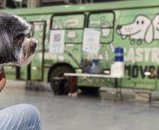 Foto de evento do Castrapet