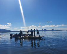 Foto de fiscalização do IAT