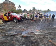  IAP promove queima controlada no Parque Estadual de Vila Velha