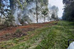 Ação queimada controlada no Parque Estadual de Vila Velha reuniu quase 300 bombeiros militares.