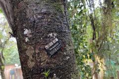 Foto de placa de registro em árvore