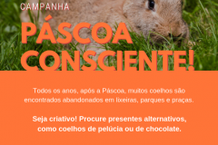 
Campanha conscientiza sobre a compra de coelhos vivos na Páscoa

