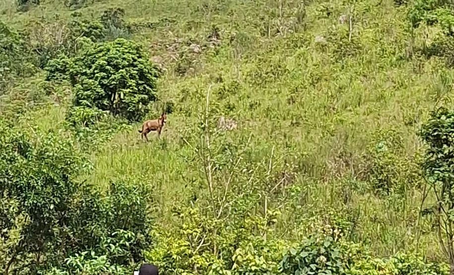 Agente fiscalizando irregularidades