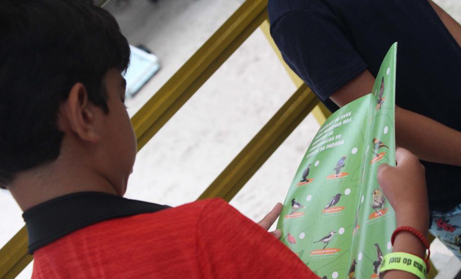 Foto de criança olhando guia de espécies