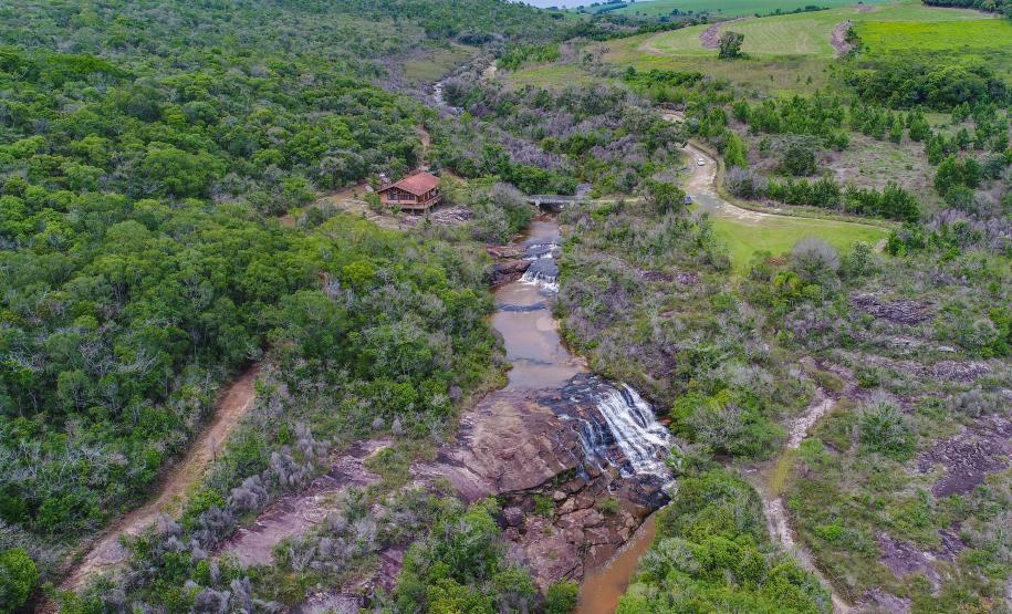 Parques do Paraná têm flora rica e cores exuberantes