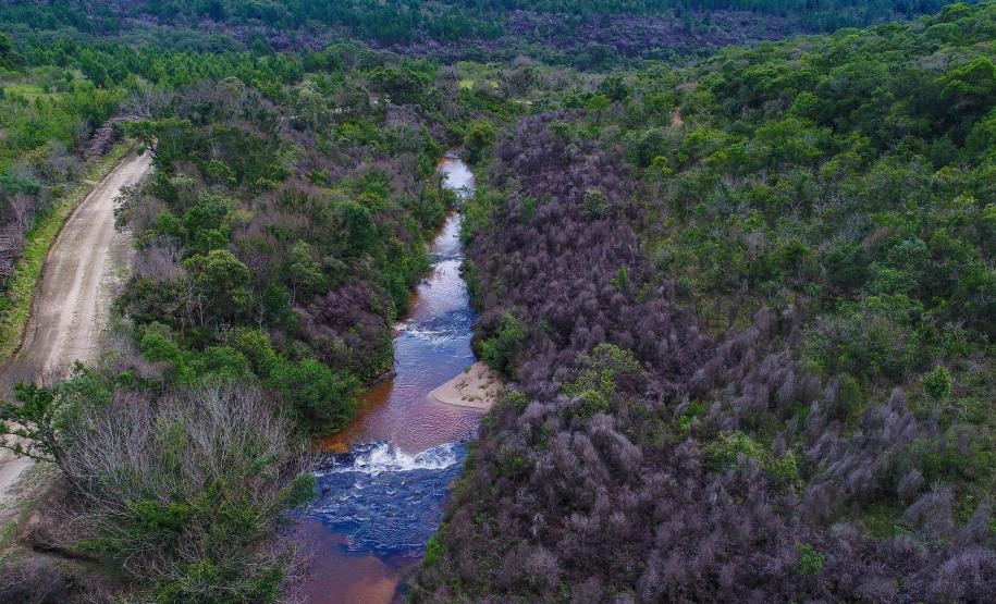 Parques do Paraná têm flora rica e cores exuberantes