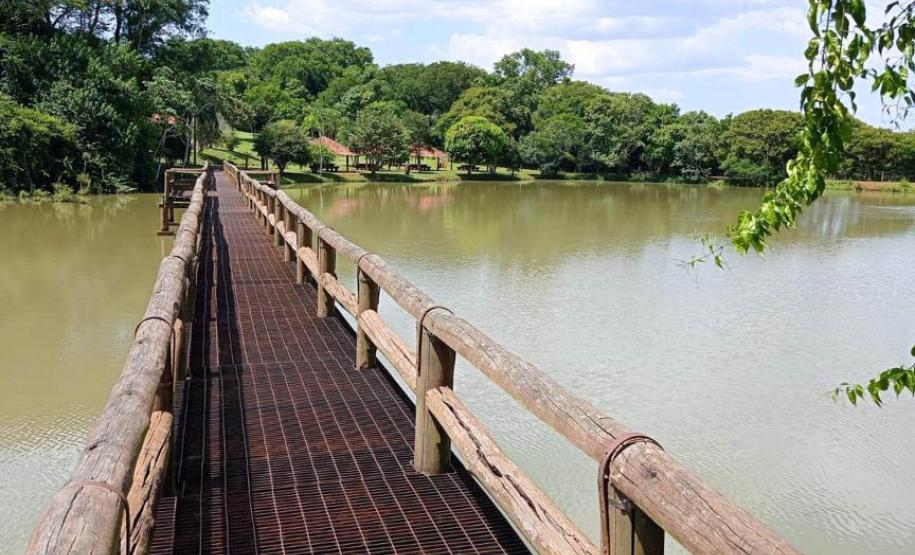 Parques do Paraná têm flora rica e cores exuberantes