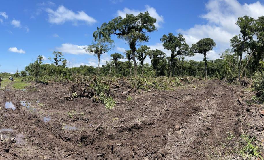 Técnicos do IAT atenderam a 130 denúncias de crimes ambientais durante o Verão Maior Paraná