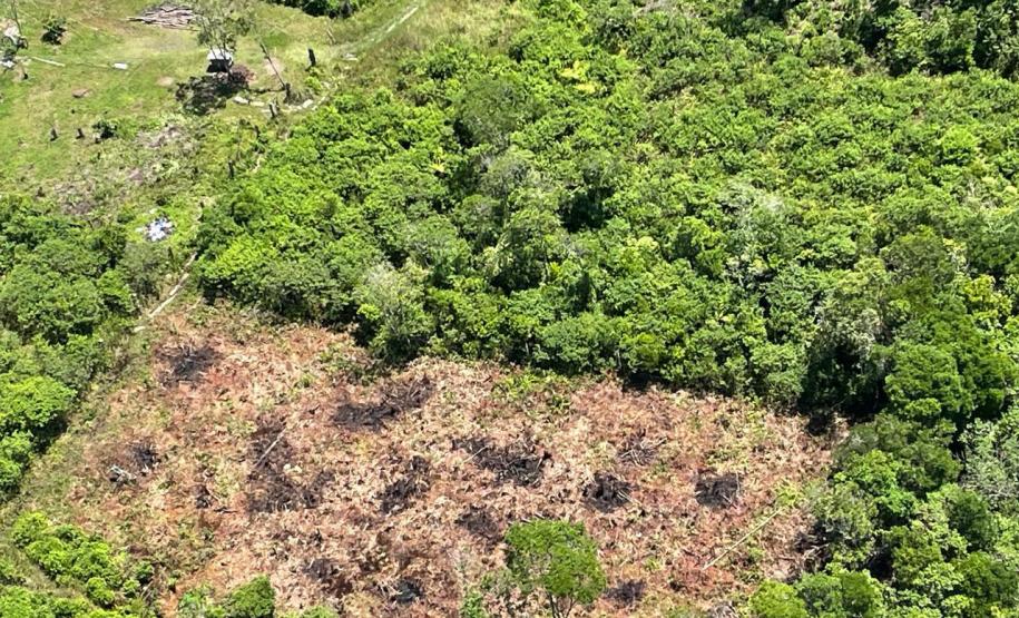 Técnicos do IAT atenderam a 130 denúncias de crimes ambientais durante o Verão Maior Paraná